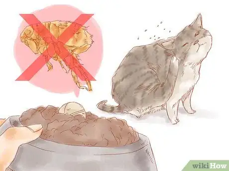 Imagen titulada Kill Fleas in a Home Step 10