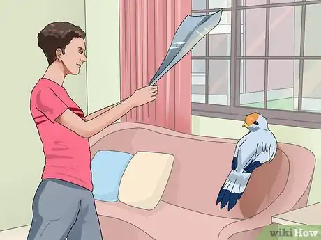 Imagen titulada Chase a Bird out of an Enclosed Porch or a House Step 7
