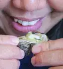 cocinar ostras