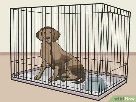 Imagen titulada Stop Your Dog from Eating Your Plants Step 4