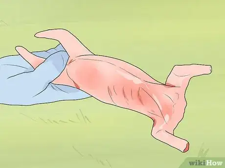 Imagen titulada Clean a Squirrel Step 9