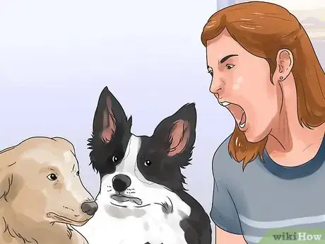 Imagen titulada Support Your Animal After a Horrible Dog or Cat Fight Step 2