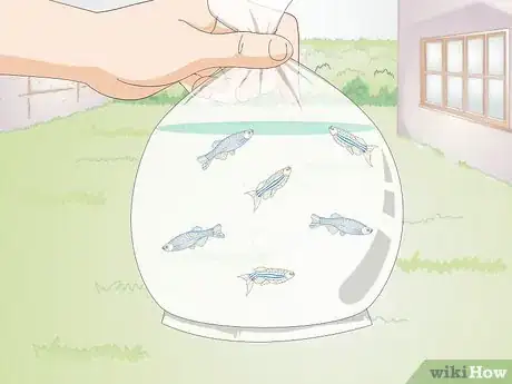 Imagen titulada Care for a Zebra Danio Step 6