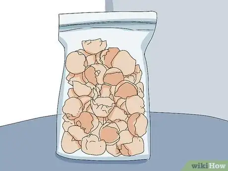 Imagen titulada Feed Eggshells to Chickens Step 5