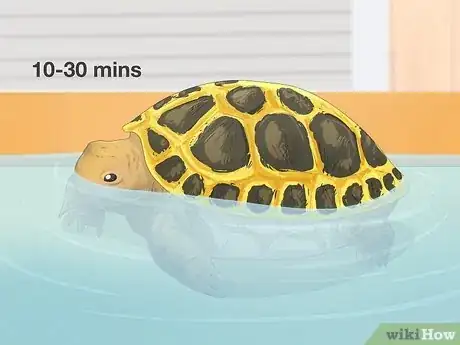 Imagen titulada Bathe a Russian Tortoise Step 7