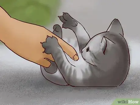 Imagen titulada Deal With a Cat Scratch Step 22