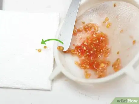 Imagen titulada Seed Tomatoes Step 15