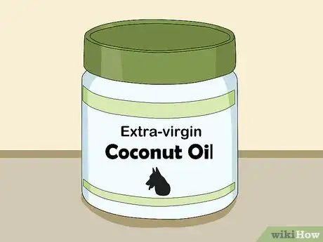 Imagen titulada Use Coconut Oil for Flea and Skin Treatment on Dogs Step 1