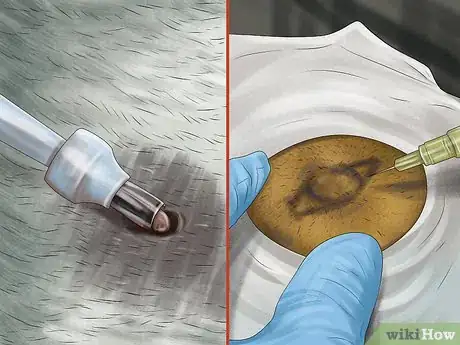 Imagen titulada Diagnose Skin Masses on Dogs Step 11