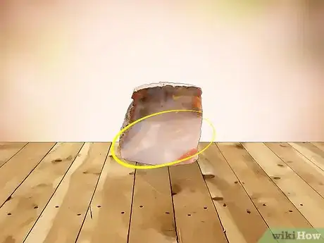 Imagen titulada Identify Petrified Wood Step 3