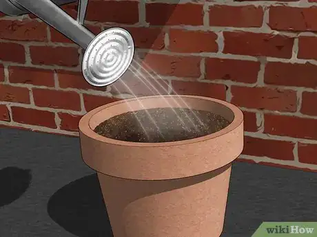 Imagen titulada Take Cuttings Step 10