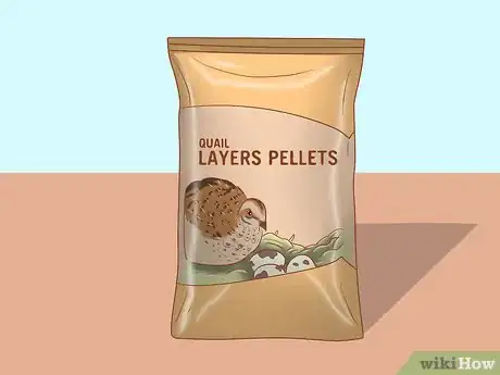 Imagen titulada Get Quails to Lay Eggs Step 7