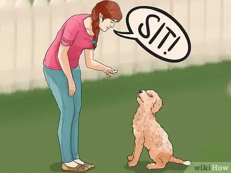 Imagen titulada Train Goldendoodles Step 15