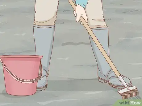 Imagen titulada Dig for Clams Step 11