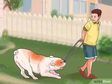 Imagen titulada Be a Good Pet Owner (for Kids) Step 5
