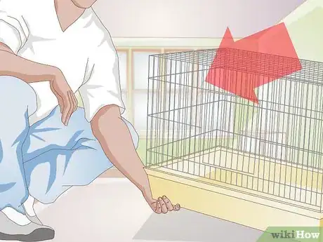 Imagen titulada Care for Your Rabbit After Neutering or Spaying Step 3