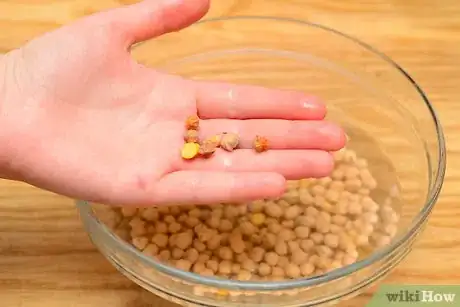 Imagen titulada Cook Dried Chickpeas Step 7