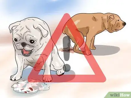 Imagen titulada Treat Dog Diarrhea Step 11