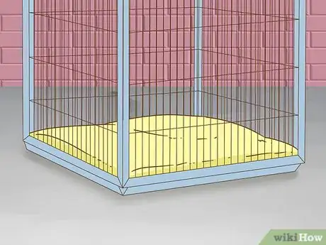 Imagen titulada Care for a Dog With a Broken or Fractured Pelvis Step 2