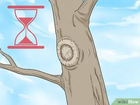 Imagen titulada Trim Oak Trees Step 9