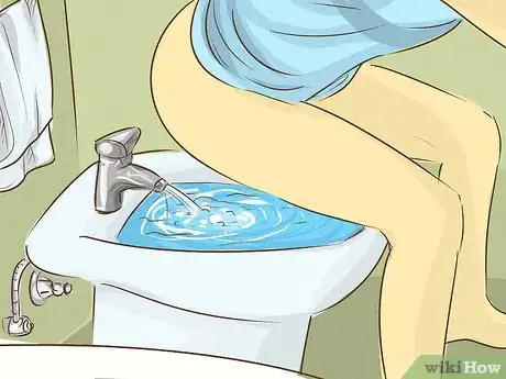 Imagen titulada Use a Bidet Step 6