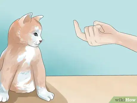 Imagen titulada Tell if Your Cat Is Deaf Step 9