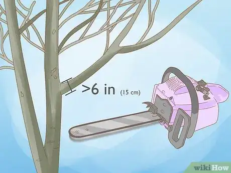 Imagen titulada Prune Walnut Trees Step 12