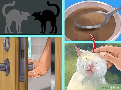 Imagen titulada Retrain a Cat to Use the Litter Box Step 17