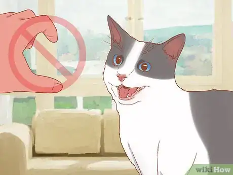 Imagen titulada Greet a Cat Step 9