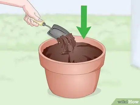 Imagen titulada Root Trees Step 9