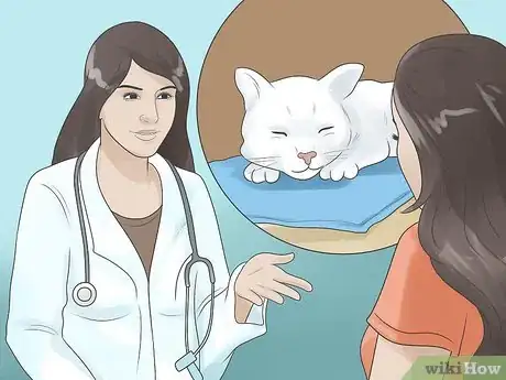 Imagen titulada Tell if Your Cat Is Deaf Step 6
