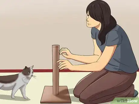 Imagen titulada Stop a Cat from Clawing Furniture Step 5