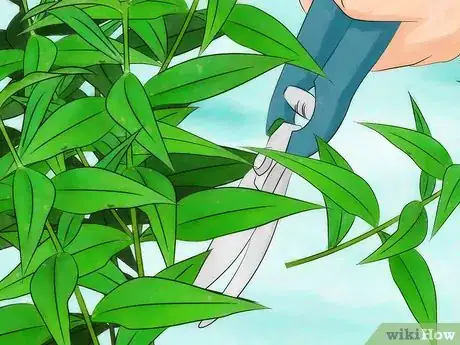 Imagen titulada Prevent Mosquitoes from Breeding Step 10