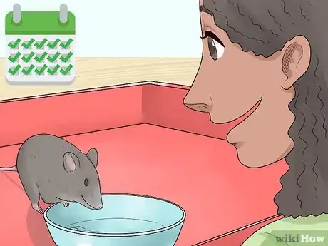 Imagen titulada Care for an Injured Pet Mouse Step 7