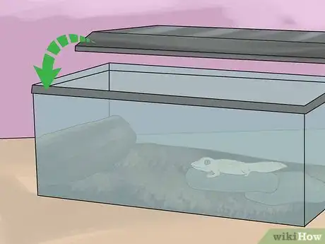 Imagen titulada Keep Ferrets in a Home with Other Pets Step 10