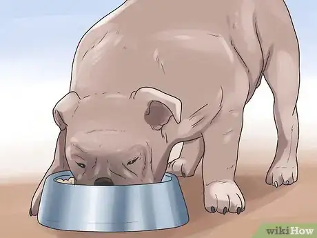 Imagen titulada Help Your Dog Whelp or Deliver Puppies Step 15