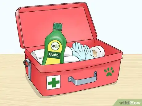 Imagen titulada Care for an Injured Pet Mouse Step 5
