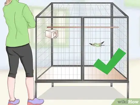 Imagen titulada House a Parakeet Step 13