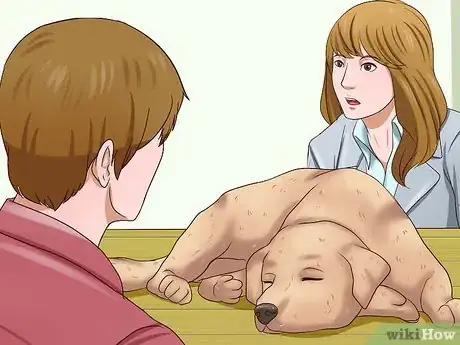 Imagen titulada Administer a Vaccine to a Dog Step 1