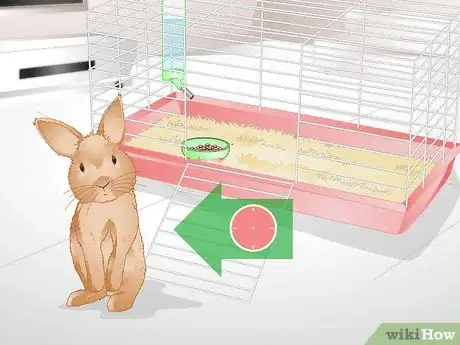 Imagen titulada Tell if Your Rabbit Is Lonely Step 8