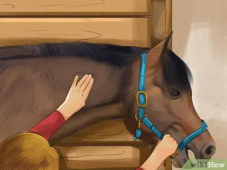 Imagen titulada Bond With Your Horse Using Natural Horsemanship Step 7