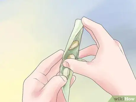 Imagen titulada Grow Pinto Beans Step 17