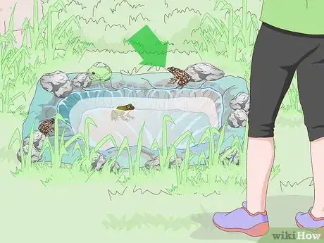 Imagen titulada Attract Frogs Step 12