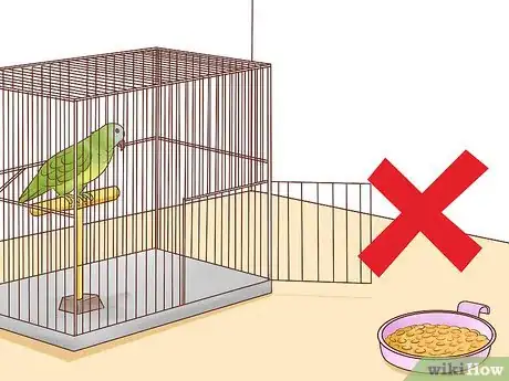 Imagen titulada Catch a Bird Step 4