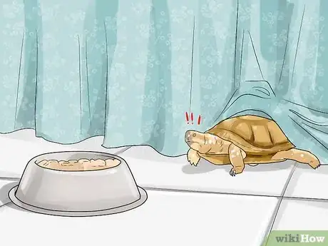 Imagen titulada Find a Turtle Step 10