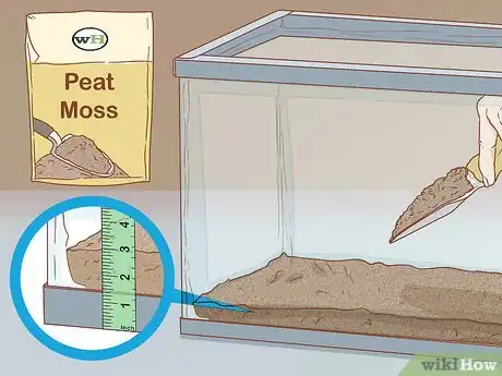Imagen titulada Care for Turtles Step 2