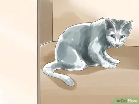 Imagen titulada Tell if Your Cat Is Deaf Step 2