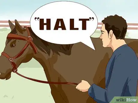 Imagen titulada Break a Horse Step 15