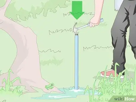 Imagen titulada Attract Frogs Step 20