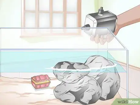 Imagen titulada Clean a Turtle Tank Step 2
